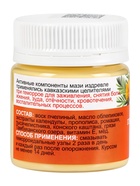 Крем-мазь при геморрое «Природа кавказского долголетия», пластик, 40 мл - Фото 2