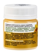 Крем-мазь при псориазе «Природа кавказского долголетия», пластик, 40 мл - Фото 2
