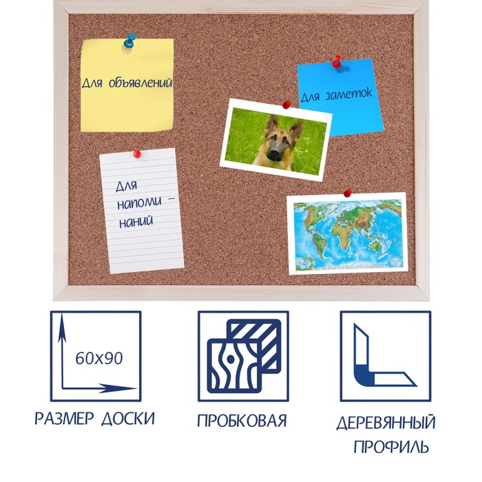 Доска пробковая Calligrata, 60×90 см, в деревянной рамке