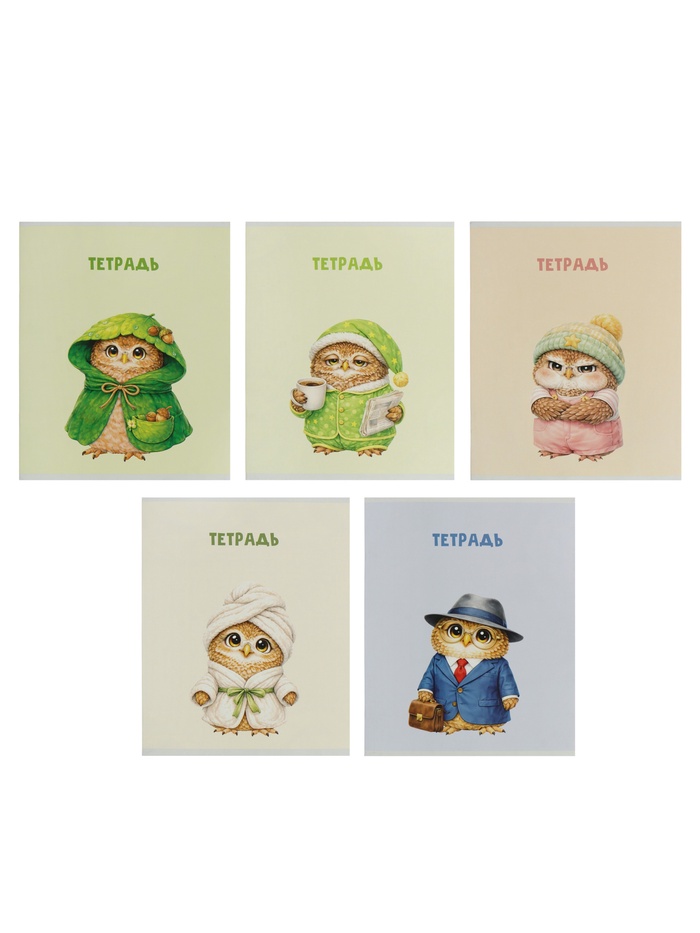 Тетрадь 36л кл Calligrata НОВИНКА, обл мел карт, блок ОФСЕТ, 5В МИКС