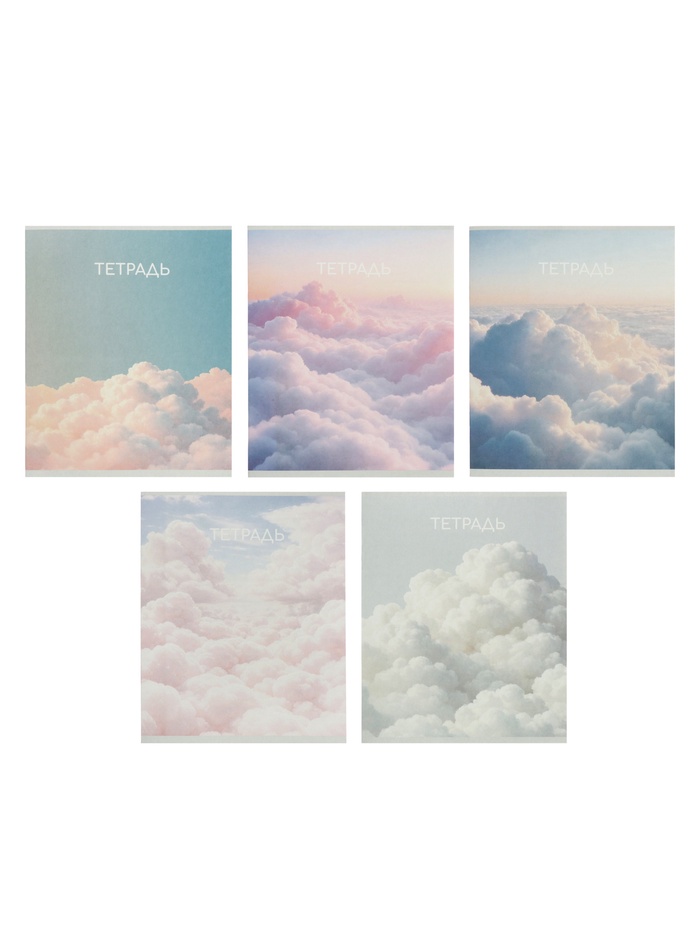 Комплект тетрадей из 10 штук, 24 листа в линейку Calligrata «Облака», 5 видов