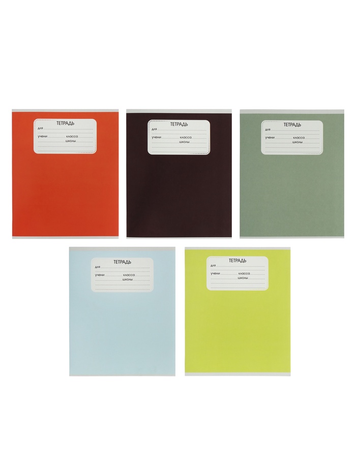 Комплект тетрадей из 10 штук, 24 листа в линейку Calligrata «Однотон», 5 видов