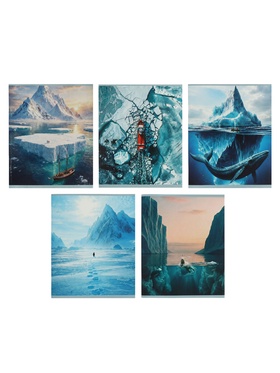 Комплект тетрадей 5 штук, 48 листов в клетку Calligrata «Антарктида», 5 видов