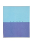 Набор тетрадей из 5 штук, 36 листов в клетку Calligrata «Биколор», блок №2 5 видов 10992183 - фото 10127992