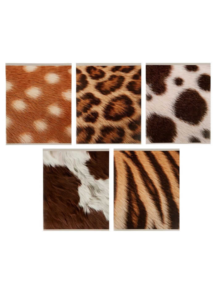 Комплект тетрадей 48 листов в клетку Calligrata «Животный принт», 5 штук