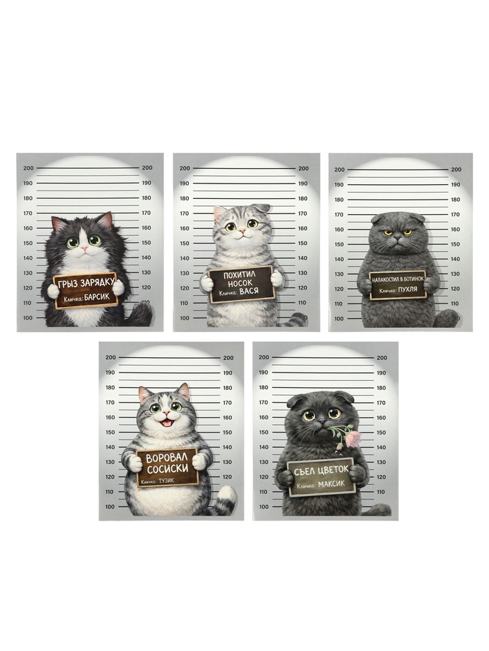 Компл тетр из 5шт 48л кл Calligrata НОВИНКА2, обл мел карт, блок №2, 5 видов 10991213