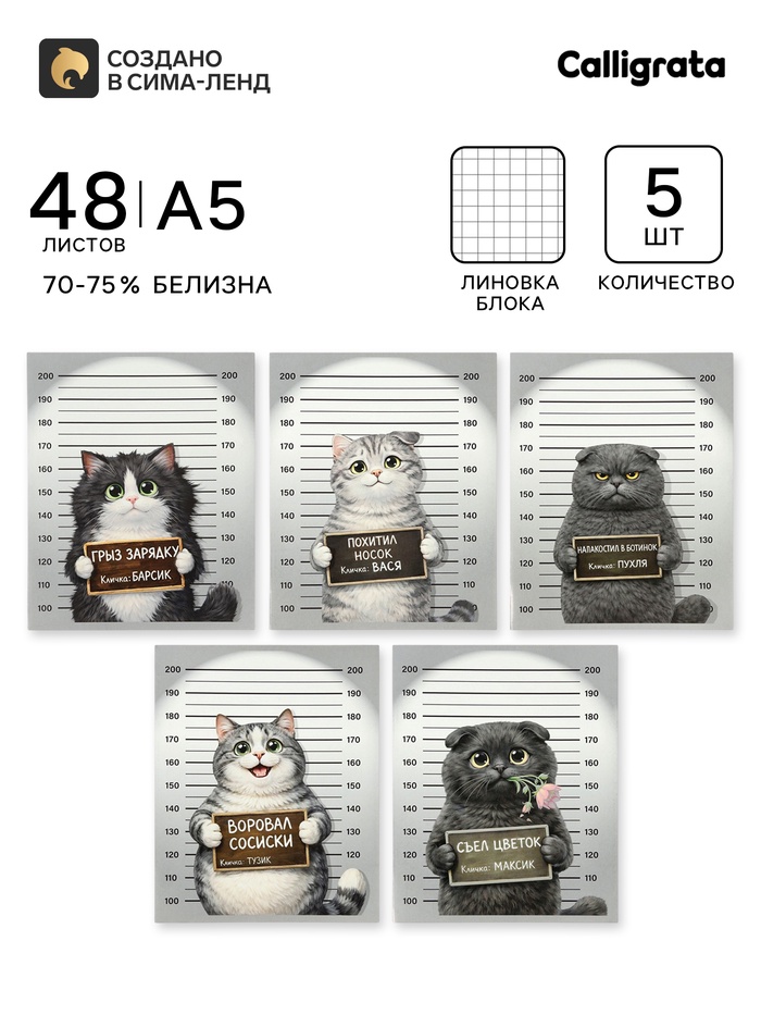 Тетрадь 5 штук, 48 листов в клетку Calligrata «Коты хулиганы», серые листы, блок №2, 5 видов - Фото 1