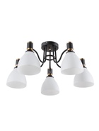 Люстра TR303307, 5хE27, 60 Вт, 60×27 см, чёрная - Фото 1