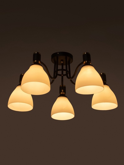 Люстра TR303307, 5хE27, 60 Вт, 60×27 см, чёрная