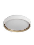 Люстра LED FZ601, 3000-6500К+RGB, 46 Вт, d=39 h=8 см, с ПДУ, белый - Фото 1