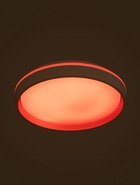Люстра LED FZ601, 3000-6500К+RGB, 46 Вт, d=39 h=8 см, с ПДУ, белый - Фото 6