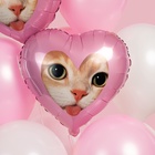 Воздушный шар фольгированный 18" «Котик» - фото 809656467