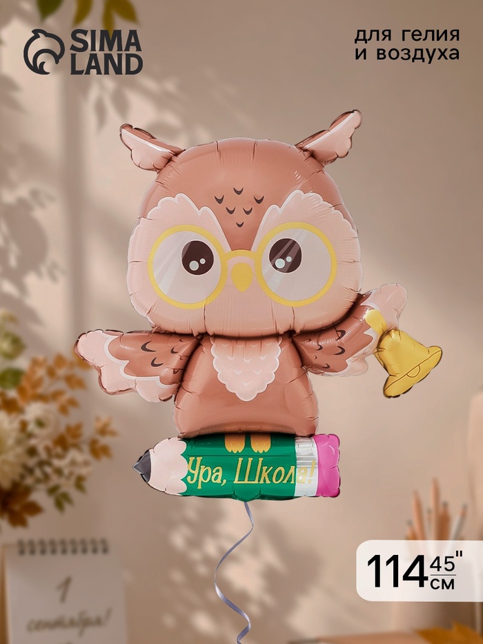 Воздушный шар фольгированный 45 «Мудрая сова», 114 см