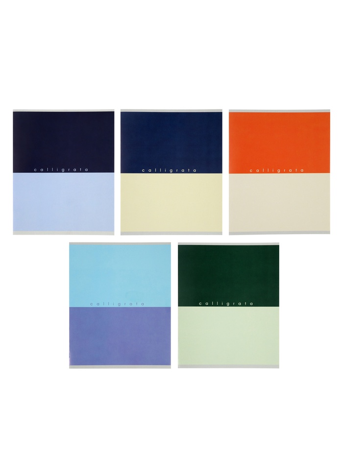 Тетрадь 36 листов в клетку Calligrata «Биколор», обложка мелованный картон, МИКС