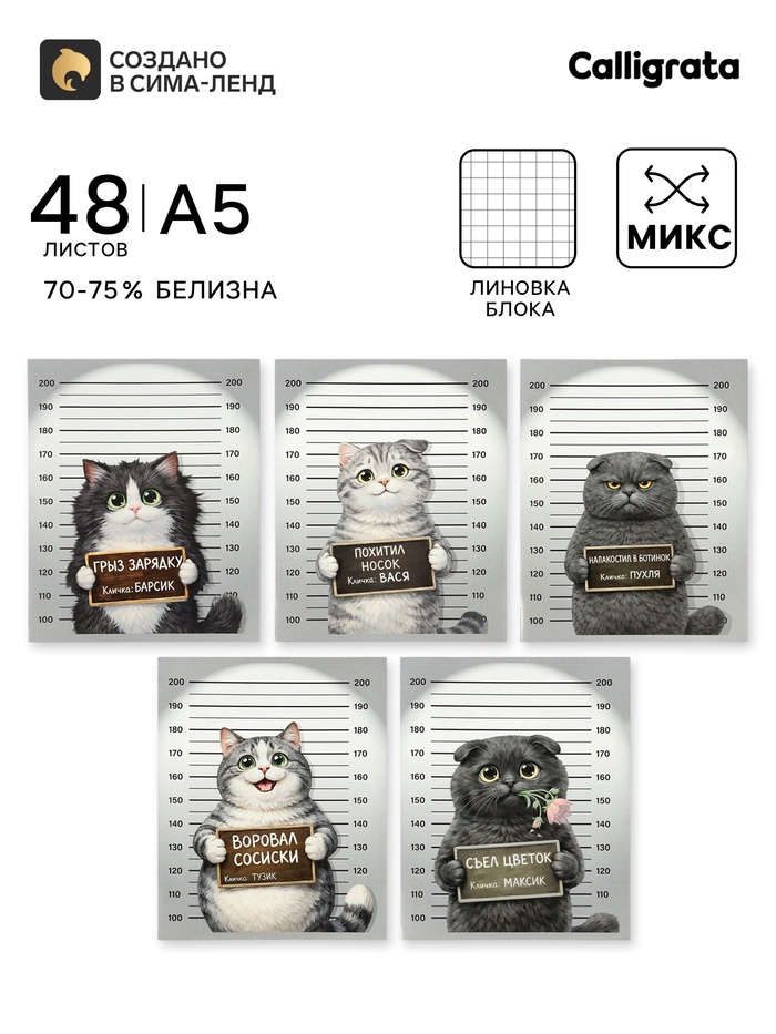 Тетрадь 48 листов в клетку Calligrata «Коты хулиганы», блок №2, серые листы, обложка МИКС - Фото 1
