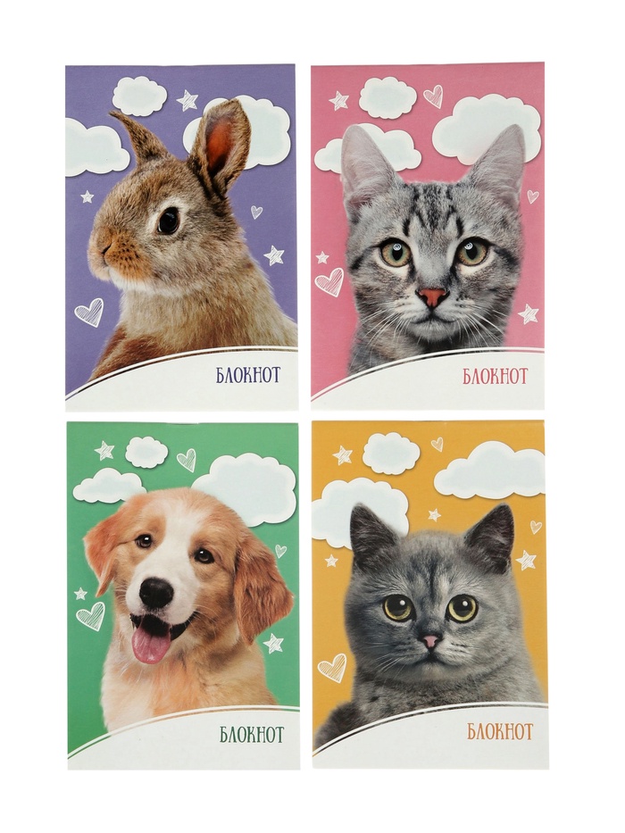 Набор блокнотов 4 шт А6 24л кл на скобе Домашние животные, мел карт, бл офс, 4В