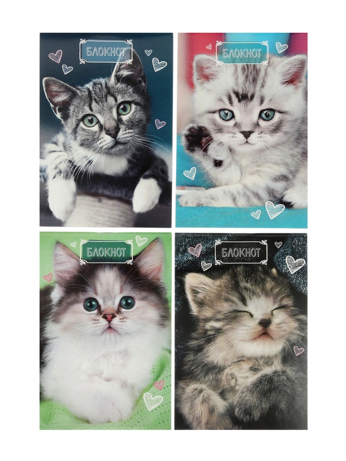 Набор блокнотов 4 шт А6 24л кл на скобе Котята, мел карт, бл офс, 4В