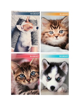 Набор блокнотов 8 шт А6 40л кл на скобе Котята и щенята, мел карт, бл офс, 4В + ручка МИКС