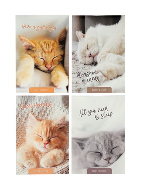 Набор блокнотов 8 шт А6 40л кл на скобе Сладкий сон, мел карт, бл офс, 4В + ручка МИКС 11014179