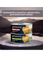 Влажный корм для кошек «Мнямс.Деликатес», куриное филе с говядиной в соусе, 50 г - Фото 9