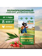 Сухой корм для взрослых кошек «Ферма кота Федора», с курицей, 650 г - Фото 3