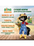 Сухой корм для взрослых кошек «Ферма кота Федора», с курицей, 650 г - Фото 4