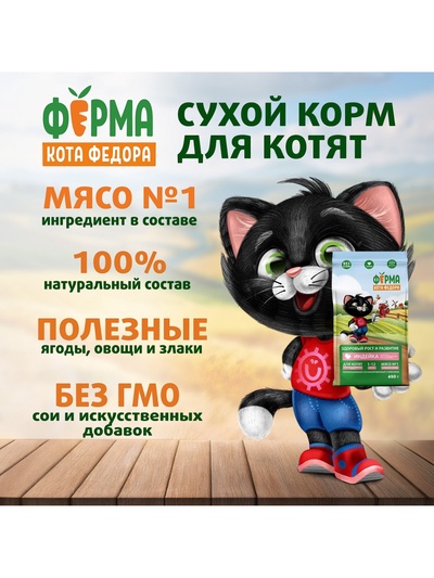 Сухой корм «Ферма кота Федора», для котят от 1 месяца, беременных и кормящих кошек, с индейкой, 650 г