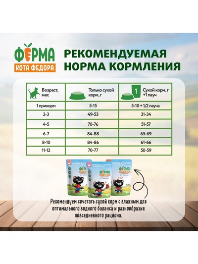 Сухой корм «Ферма кота Федора», для котят от 1 месяца, беременных и кормящих кошек, с индейкой, 650 г