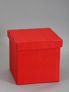 Подарочная коробка, крышка-дно, красная, 30×30×30 см - фото 809668014