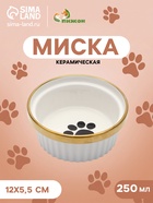 Миска «Роскошь», 250 мл, 12×5.5 см, керамика, белая - фото 809668388