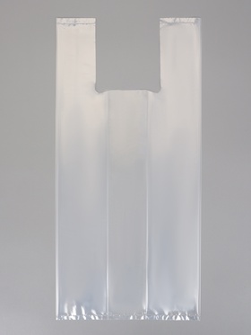 Пакет подарочный с боковой складкой, 22х48+8см ± 5% 60 мкм