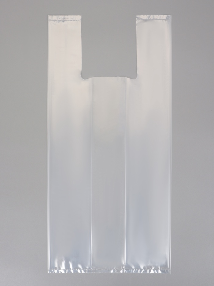 Пакет подарочный с боковой складкой, 22х48+8см ± 5% 60 мкм