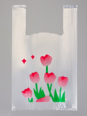 Пакет подарочный с боковой складкой, 