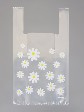 Пакет подарочный с боковой складкой, 