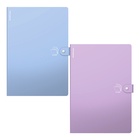 Папка-картотека А4 ErichKrause Matt Pastel Bloom, 4 отделения, пластиковая, МИКС - Фото 2