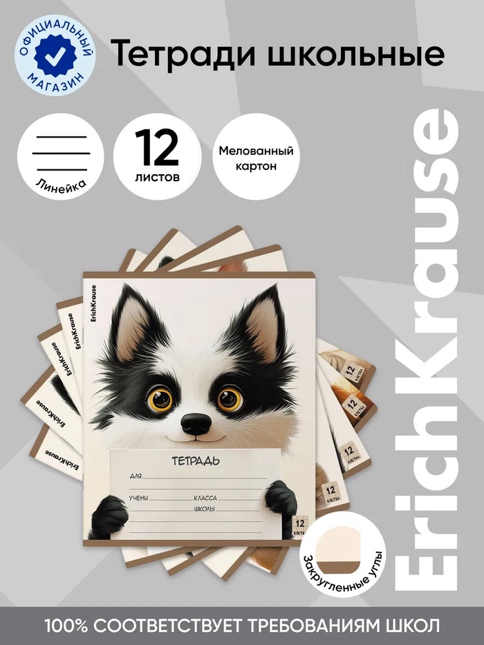 Тетрадь 12л лин ErichKrause Note Friends, обл.мел.кар., МИКС