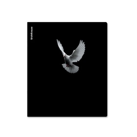 Тетрадь 48 листов в клетку ErichKrause High Fly