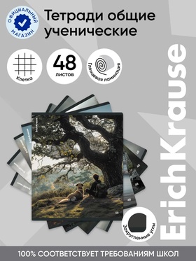 Тетрадь 48 листов в клетку ErichKrause Friends, МИКС