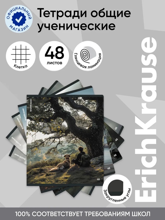 Тетрадь 48 листов в клетку ErichKrause Friends, МИКС