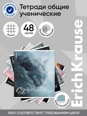 Тетрадь 48 листов в клетку ErichKrause Cloudy Cats, МИКС