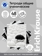 Тетрадь 48 листов в клетку ErichKrause Black Focus, МИКС 11028622 - фото 10128549