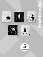 Тетрадь 48 листов в клетку ErichKrause Black Focus, МИКС 11028622 - фото 10128550