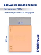 Тетрадь 48 листов в линейку ErichKrause CoverPro matt Pulse, МИКС 11028658 - фото 10128708