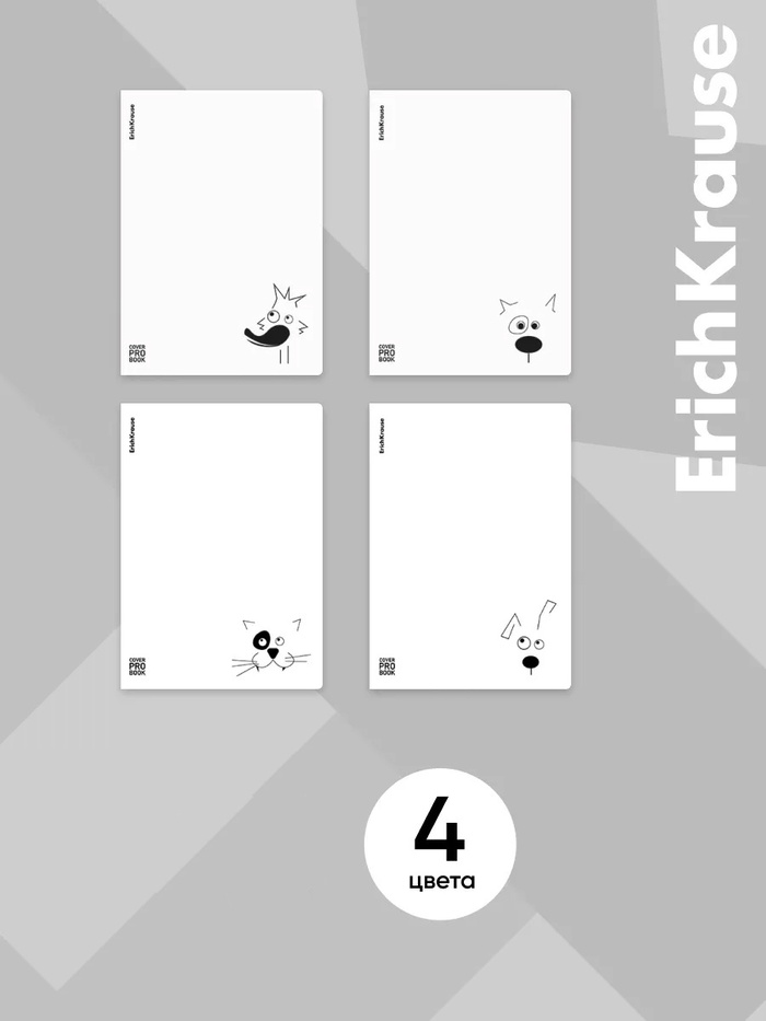 Тетрадь 60л кл В5 ErichKrause Character, обл.пластик., белая