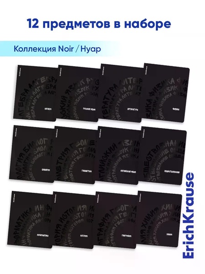 Комплект тетрадей 48 листов в клетку/линейку ErichKrause Noir, 12 штук