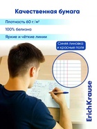 Комплект тетрадей 48 листов в клетку/линейку ErichKrause Black Diamond, 10 штук - фото 809669835