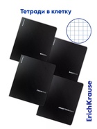 Комплект тетрадей 48 листов в клетку/линейку ErichKrause Black Diamond, 10 штук - фото 809669828