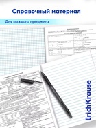 Комплект тетрадей 48 листов в клетку/линейку ErichKrause Black Diamond, 10 штук - фото 809669831