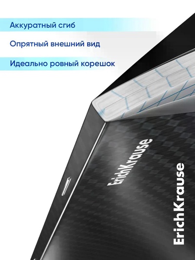 Комплект тетрадей 48 листов в клетку/линейку ErichKrause Black Diamond, 10 штук
