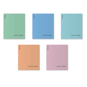 Тетрадь 48 листов в линейку «Русский язык» ErichKrause Dream